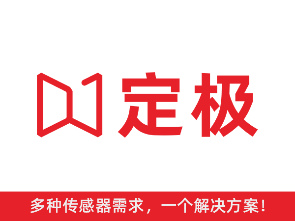 上海定极科技海外版官网开发完成
